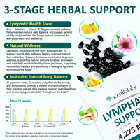 Acentiallabs Lymphatic Support Softgels 4275mg Antioxydants Immunité & Métabolisme Lymphatique Complément Énergétique Herbal Stock USA