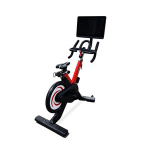 10KG volant d'inertie, corps de Sport, solide, cyclisme d'intérieur, vente en gros, magnétique, exercice, vélo de Spinning, vélos de Spinning commerciaux, 2022 - Product Image 1