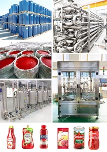 Equipo Industrial para el Procesamiento de Pasta de Tomate, Tipo Concentrado y a Granel, para Suministro al por Mayor - Product Image 3