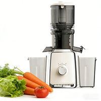 Super Hot Juicer 130MM Grote Diameter Netvrije Snijder voor Sapresten Scheiding Zuivere Sap 500W ABS