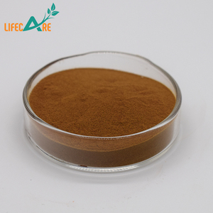 Lifecare Supply Chaga Pilz 10:1 Pulver Chaga Pilzex trakt - Product Image 5