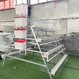 <span class=keywords><strong>Jaula</strong></span> <span class=keywords><strong>para</strong></span> Gallinas Ponedoras Galvanizada Directamente de Fábrica, con Capacidad <span class=keywords><strong>para</strong></span> 1000 Aves, Limpieza de Estiércol Manual con Manivela, <span class=keywords><strong>en</strong></span> <span class=keywords><strong>Venta</strong></span> - Product Image 1