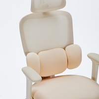 Chaise de bureau exécutive ergonomique moderne en tissu maillé, pliable, avec accoudoirs 6D réglables, soutien lombaire enveloppant et structure en fer