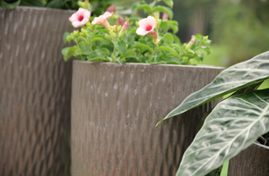 Pot en céramique de qualité supérieure, respirant, décoration de jardin, pot de fleurs - Product Image 6