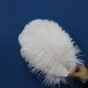 30-35CM Wholesale High Quality Multi-Color Smooth Fluffy Cheap Large Ostrich Feathers White 15-75cm Ostrich Feather Trim Fabric