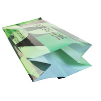 LT Custom Candy Cookie Heat Back Side Seal Bag Granola Protein Energy Plastic Chocolate bar Wrapper Packaging Bag for Pillow