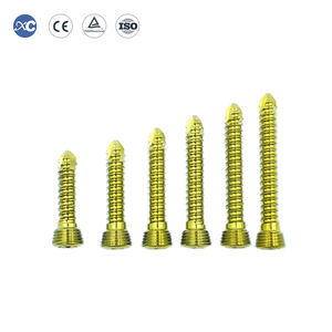 3.5mm AO Bloqueio Parafusos De Titânio para Implantes Ortopédicos Veterinários e Placas De <span class=keywords><strong>Trauma</strong></span> Feitos De Fábrica Parafusos Ósseos Ortopédicos - Product Image 5