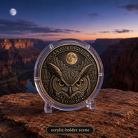 Pièce de monnaie commémorative 3D personnalisée en relief, motif Aigle Hibou Totem, finition antique, pièce de défi, cadeau souvenir, vente en gros, usine OEM ODM
