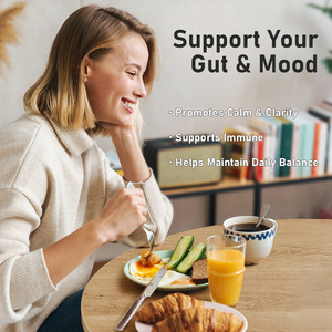Oem Probiotic Capsules Maintain A Healthy Digestive System Support Helps Maintain Energy Immune Balance Wellnes 60 Capsules - Product Image 3