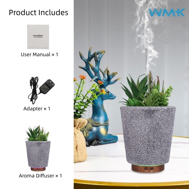 200ml Plante Succulente