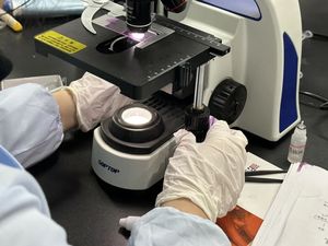 Layanan pemeriksaan dan pengujian laboratorium profesional dan independen untuk pemeriksaan produk berbasis minyak - Product Image 5