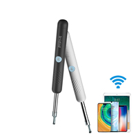 Collant pour oreilles en silicone, produit électronique de santé rechargeable, 1080p, wifi, endoscope, nettoyeur de cire auriculaire, outil avec embouts