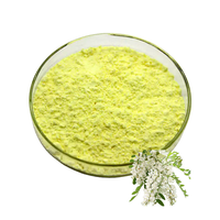 Extrait de Sophora japonica naturel de haute qualité en vrac, poudre de quercétine à 95 %