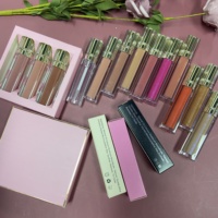 Brillant à lèvres mat et résistant à l'eau, brillant à lèvres de qualité supérieure, vegan, 55 couleurs, vente en gros, ml