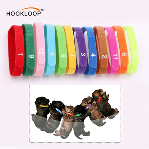 ปลอกคอสัตว์เลี้ยงหลากสีแบบขายส่ง พร้อมสายรัดแบบปรับความยาวได้ด้วยแถบตีนตุ๊กแก - Product Image 1