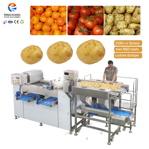 Fengxiang Dual Sorter 500-2000kg/h Vegetable Fruit Sorting Grading Machine Custom Roller Sorting Machine for Food Plant - Product Image 1