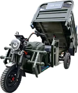Çiftlik kullanımı için 60V 1200W Motor gücü üç tekerlekli elektrikli üç tekerlekli bisiklet kargo