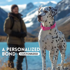 Kişiselleştirilmiş Pet yaka gece görüş yavru köpek gerdanlık tam yansıtıcı naylon yastıklı köpek tasması adı ile özel - Product Image 4