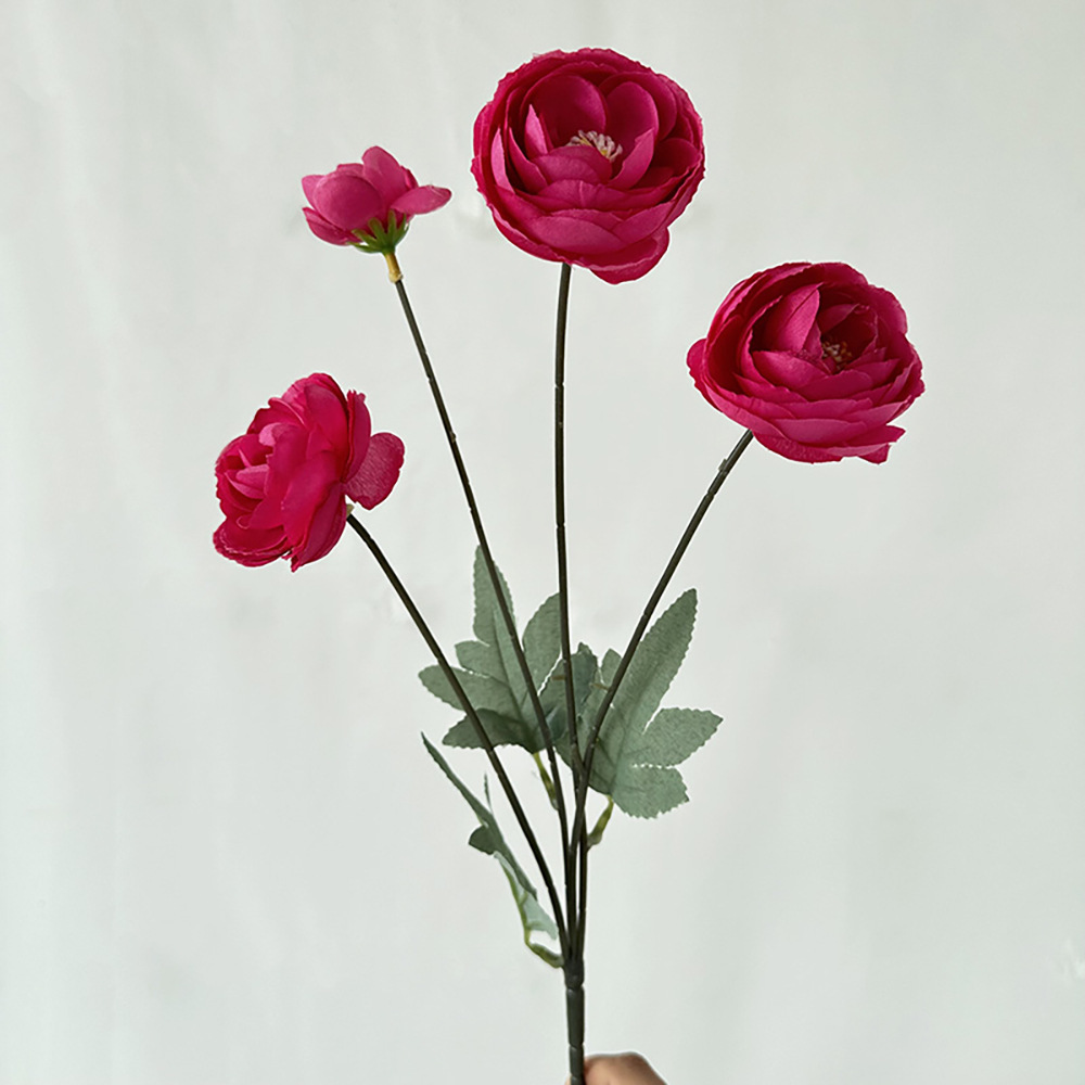 Mei Chen 4 têtes Dew Lotus Rose Rouge