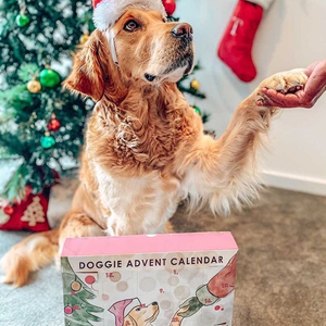 Boîte en papier personnalisée pour calendrier de l'avent pour chiens <span class=keywords><strong>2022</strong></span> - Product Image 5