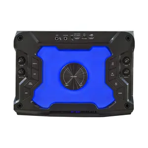 Altoparlante stereo Wireless PA DJ Karaoke altoparlante subwoofer professionale da esterno con luce a LED colorata