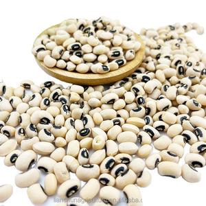 Новый Урожай бобов с черными глазами для продажи высокое качество для обычного культивирования - Product Image 1