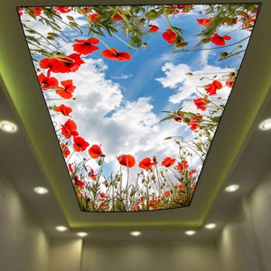 LeArt venta al por mayor Pop techo <span class=keywords><strong>Led</strong></span> Pvc estiramiento 3D tela techo <span class=keywords><strong>Plafon</strong></span> para casa teatro sistema techo - Product Image 1