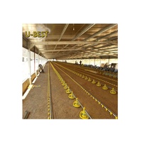 Poulet coop pour la pose ferme poulailler pour vente