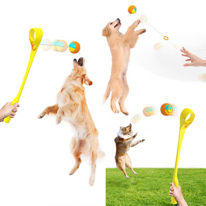 <span class=keywords><strong>Lanceur</strong></span> de tennis non automatiques, tuyau à lancer, jouet à mâcher, pour l'extérieur, entraînement interactif, nouveauté - Product Image 5