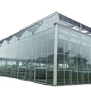 Tarım çok açıklıklı cam sera için hidroponik sistem Aeroponic kule bahçesi