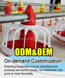 ZZ Hiện Đại Giá Rẻ Gà Thịt Hen Gia Cầm Nhà Sàn Lồng Gà Nước Và Trung Chuyển Hệ Thống Đường Dây - Product Image 3