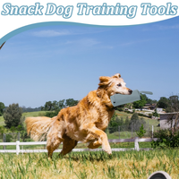 Sac à friandises pour l'entraînement des chiens, pochette portable pour friandises pour animaux de compagnie, fermeture éclair lisse, bande magique, sac de rangement pour nourriture pour chiots pour les promenades en plein air