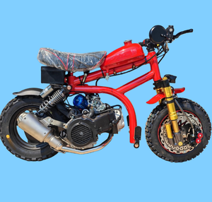 Minimoto de Gasolina de 2 y 4 Tiempos para Niños, Motocross, Motocicleta de Aventura en Miniatura - Product Image 2