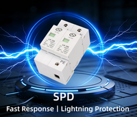 Système de protection contre la foudre LEI HAO Professional T2 SPD 2P 120kA pour système solaire industriel modulaire 385V certifié CE, systèmes haute puissance
