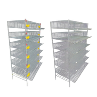 Cage d'élevage industrielle pour cailles pondeuses avec système d'évacuation du fumier et d'alimentation, garantie 1 an, 5/6 niveaux, capacité 90-200 cailles