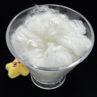 China Supplier 3D Crimped Acrylic Staple Fiber for Toys, Pillows and Quilt Filling