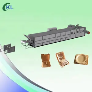 Termoformatrice termoformadora per contenitori per alimenti biodegradabili in PLA per imballaggi per contenitori per alimenti usa e getta