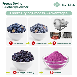 Feines Pulver mit geringer Feuchtigkeit, gute Wasserdispersion, für Smoothies, Gummibärchen, gefriergetrocknetes Blaubeerpulver - Product Image 3