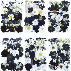 Heiß begehrtes Harzschmuck-Set mit Trockenblumen und Formen - Product Image 4