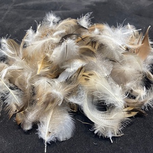100% plume de canard naturelle pour couette oreiller coussin matériau de remplissage vente chaude lavé naturel 90% plume de canard - Product Image 1