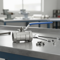 Vanne à boisseau sphérique monobloc en acier inoxydable SS304 SS316, filetage femelle DN10-DN250, 200 psi, siège en PTFE, vanne de régulation manuelle pour eau et gaz
