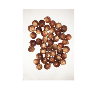 สารสกัดน้ำสบู่ริธาคุณภาพสูงสำหรับการดูแลเส้นผมตามธรรมชาติจากซัพพลายเออร์อินเดีย - Product Image 3