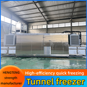 Hoàn toàn tự động hải sản đường hầm tủ đông, lúa mì tai cá Nhanh Chóng-đóng băng dây chuyền sản xuất, nhiệt độ thấp đóng băng thiết bị - Product Image 5