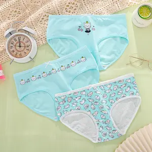 Buy Standard Quality China Wholesale Exquisite Women's Lace Printed Panties  Comfortable Breathable Custom Mallow Embroidered Hipster Pantiespopular  $1.3 Direct from Factory at Shantou Zhenyao Garments Co., Ltd.