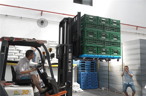Heavy Duty <strong>4</strong> Trolley <strong>Wheels</strong> Plastic Moving Pallet Crate <strong>Dolly</strong> Transport Moving <strong>Dolly</strong> - Product Image 6