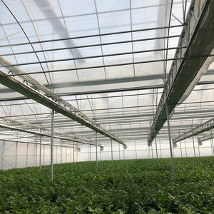 Serre Agricole Complète avec Couverture en Plastique pour Légumes Extérieurs - Invernadero de Plástico avec Film Plastique - Product Image 5