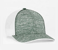 Gorra de béisbol de poliéster de 6 paneles personalizada OEM gorra de conductor de camión deportiva unisex con ala curva gorra de camionero al por mayor imagen de personaje