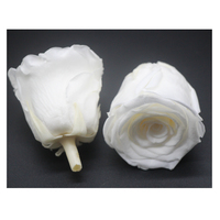 Roses Noires Conservées Technologie Avancée Arrangement de Roses Conservées Rose Conservée Fleur de Grade A