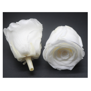 <span class=keywords><strong>Rose</strong></span> Nere Preservate con Tecnologia Avanzata, Composizione di <span class=keywords><strong>Rose</strong></span> Conservate, Fiori Preservati di Grado A - Product Image 4