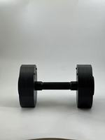 Nouveau Design Insert Type Réglable En Acier Haltère Détachable Professionnel Gym Fitness Insert Carré Decagon Haltère Poids Libre